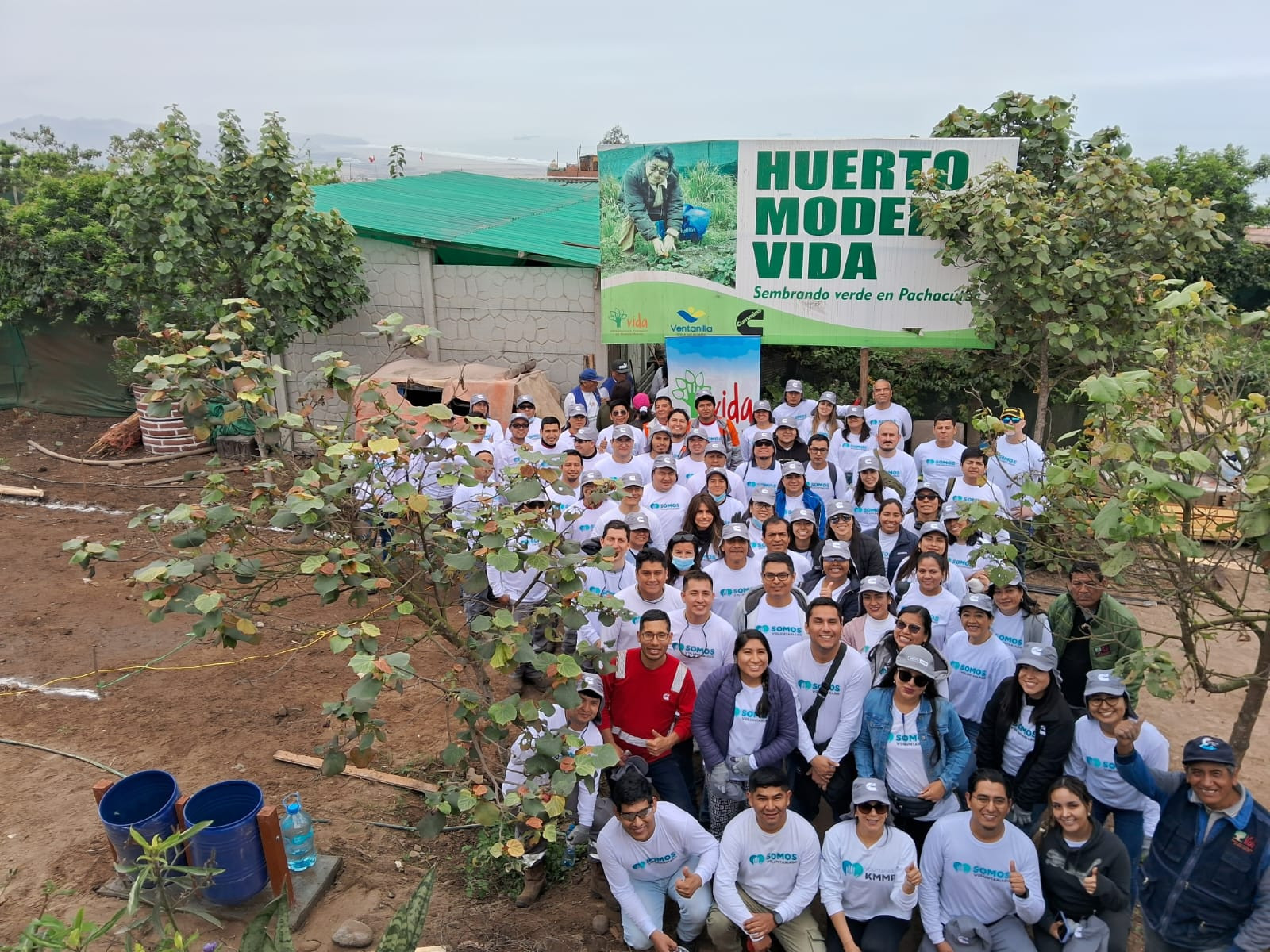 Equipo Cummins Peru en Pachacutec sembrando arboles